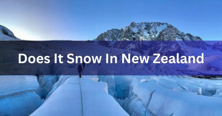 Does It Snow In New Zealand – Here To Know!