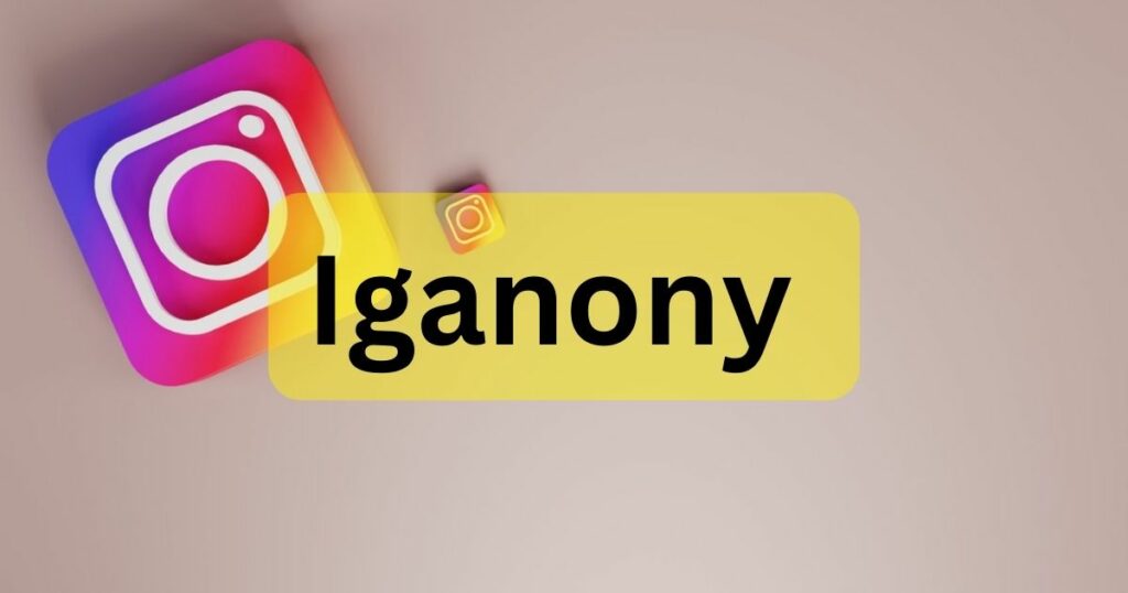 Why Your Privacy Matters When Using Iganiny